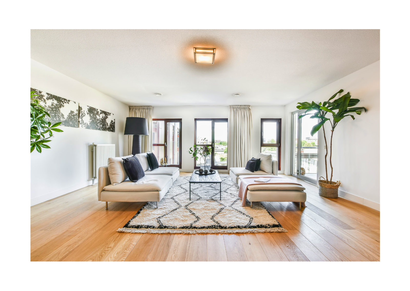 Anon Modern Living Room